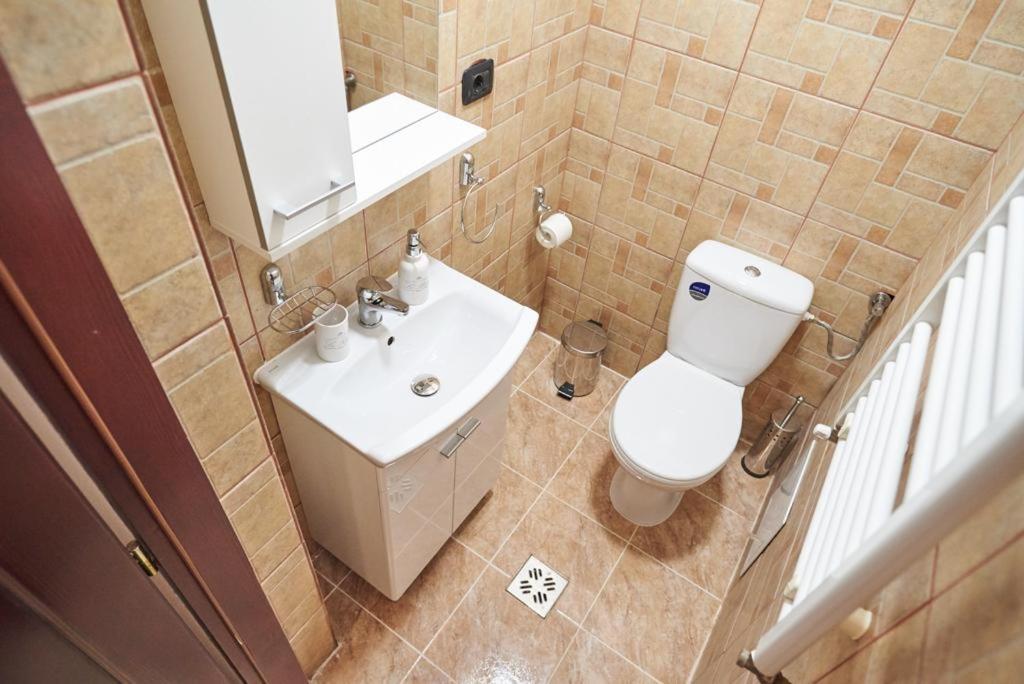 Dom Unirii Apartment ティミショアラ エクステリア 写真
